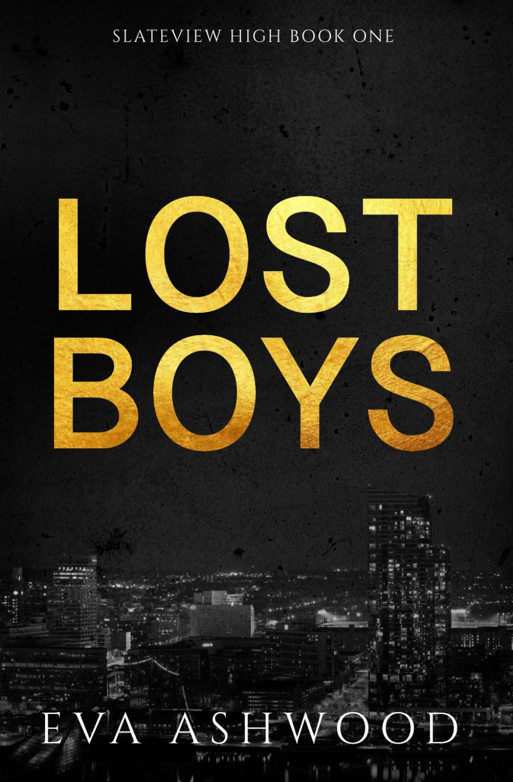 Lost Boys: A Reverse Harem High School Bully Romance (Slateview High, Band 1) New Adult