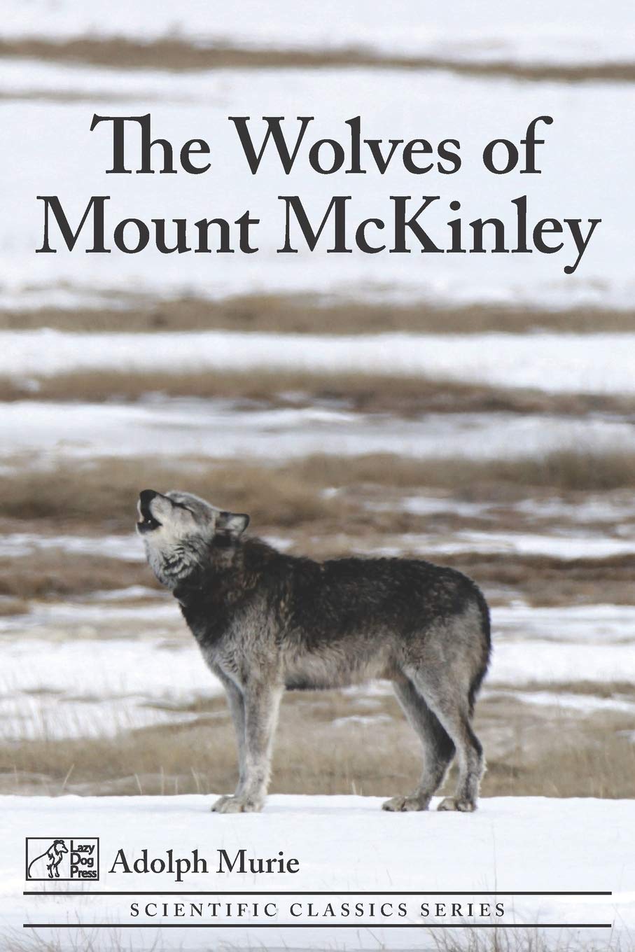 The Wolves of Mount McKinley Mathematics