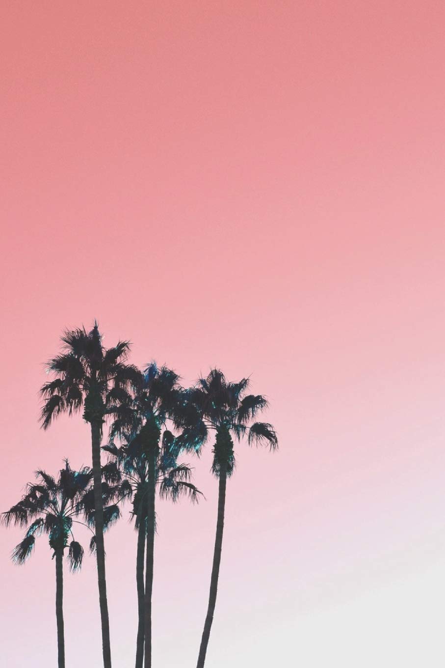 Journal: 150 Lined & Dated Pages, 6x9 Inches, Cute & Inspirational Tropical Palm Trees, Diary & Notebook for Writing, Brainstorming, Tracking & More (CORAL) Essays & Short Stories