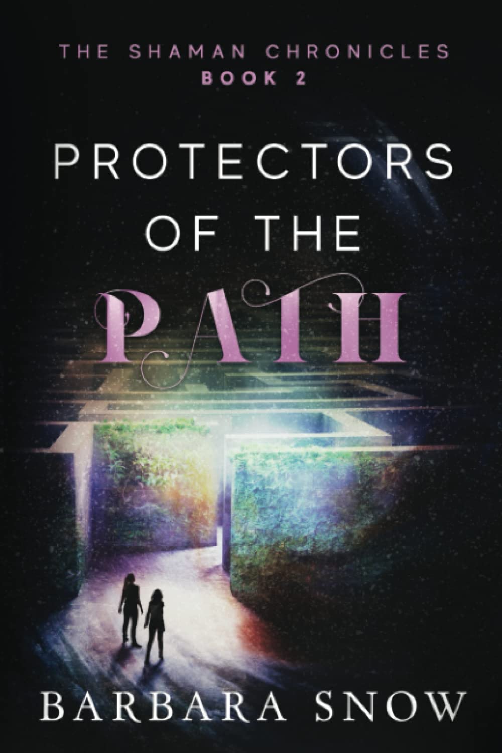 Protectors of the Path: The Shaman Chronicles Book 2 book