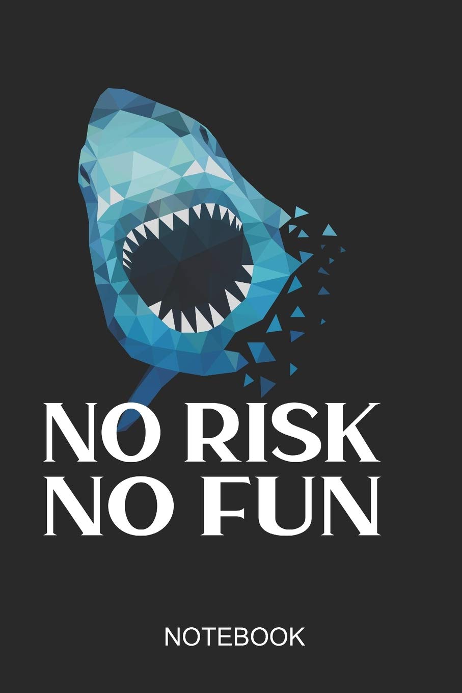 No Risk No Fun Notebook: 6x9 110 Pages Dot-Grid Surfing Journal For Surfers Books