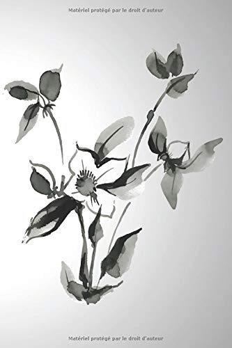 JOURNAL 5 ANS 2019-2020-2021-2022-2023: PLANIFICATEUR MENSUEL - 60 MOIS DE RENDEZ-VOUS, DE PROJETS ET DE SOUVENIRS (Illustration Sumi-e, 254 pages - format 6 x 9) Memories