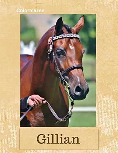 Gillian: Bay Horse Personalised Notebook (Large) (Bay Horse Personalised Notebooks, Band 20) Media & Communication