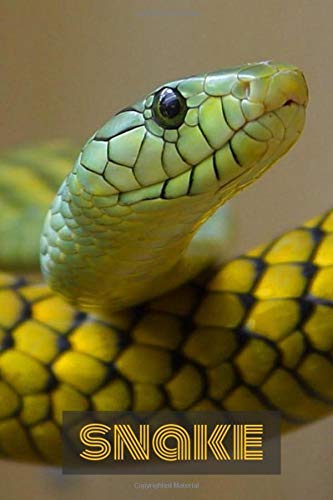 Snake: Notebook with Animals for Kids and Adults, for Drawing Coloring and Writing (Colorful & Cartoon Cover, Blank, 110 Pages, 6 x 9) (Animal Journals) Mathematics