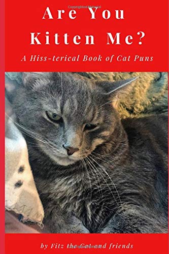 Are You Kitten Me?: A Hiss-terical Book of Cat Puns Humour & Satire