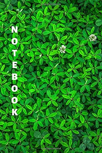 Notebook: Green Lined Notebook & Journal for Writing (110 pages, College Ruled, 6 x 9 inches, Matte, Colorful Cover) (Classic Notebooks, Band 1) Foreign Languages ​​& Dictionaries