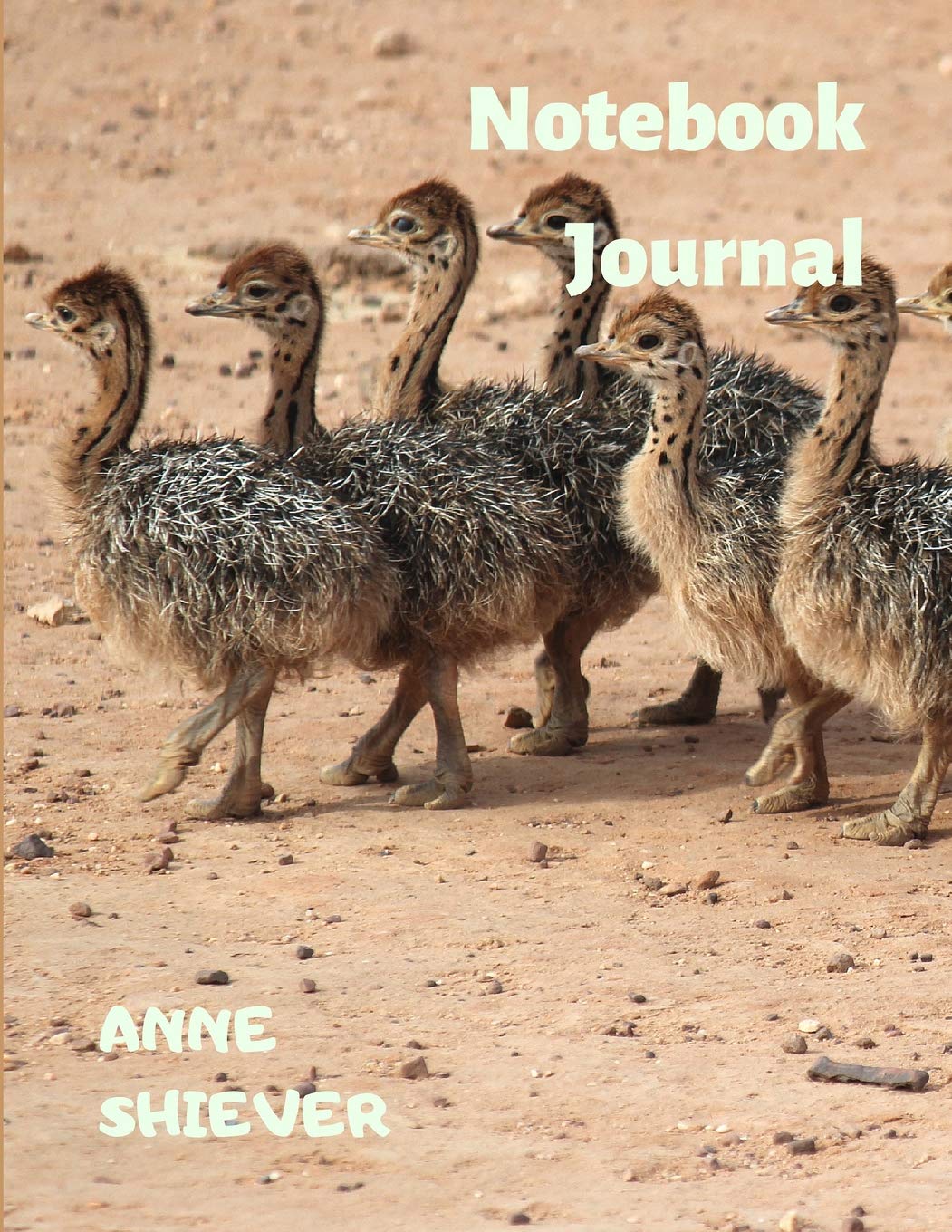 My Wild Life Notebook Journal: A Jungle Safari Wildlife Blank Lined Composition Book For Animal Lovers Essays & Short Stories