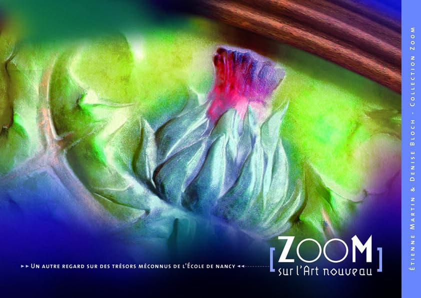 Zoom sur l'art nouveau book
