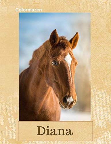 Diana: Chestnut Horse Personalised Notebook (Large) (Chestnut Horse Personalised Notebooks, Band 33) Mathematics