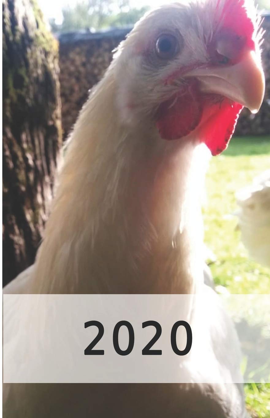 2020: Hühner/Eier Kalender/Landwirt/Hobbyzüchter/Legeaufzeichnung/Eier Legeleistung Mathematics