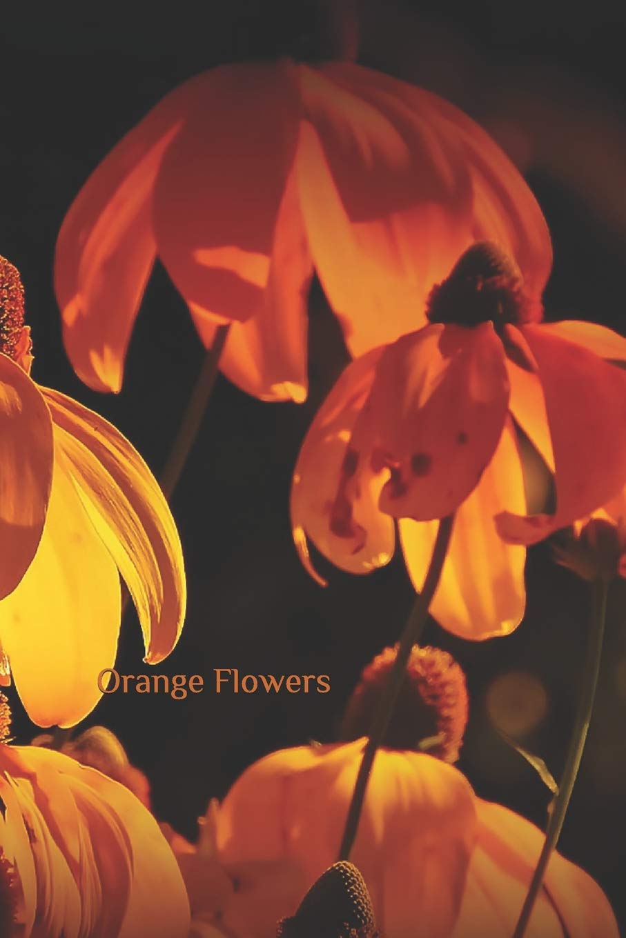 Orange Flowers: Repeat successes & learn from mistakes Your all-in-one Garden planner Logbook (The Garden Journal, Planner and Log Book, Band 1) Mathematics