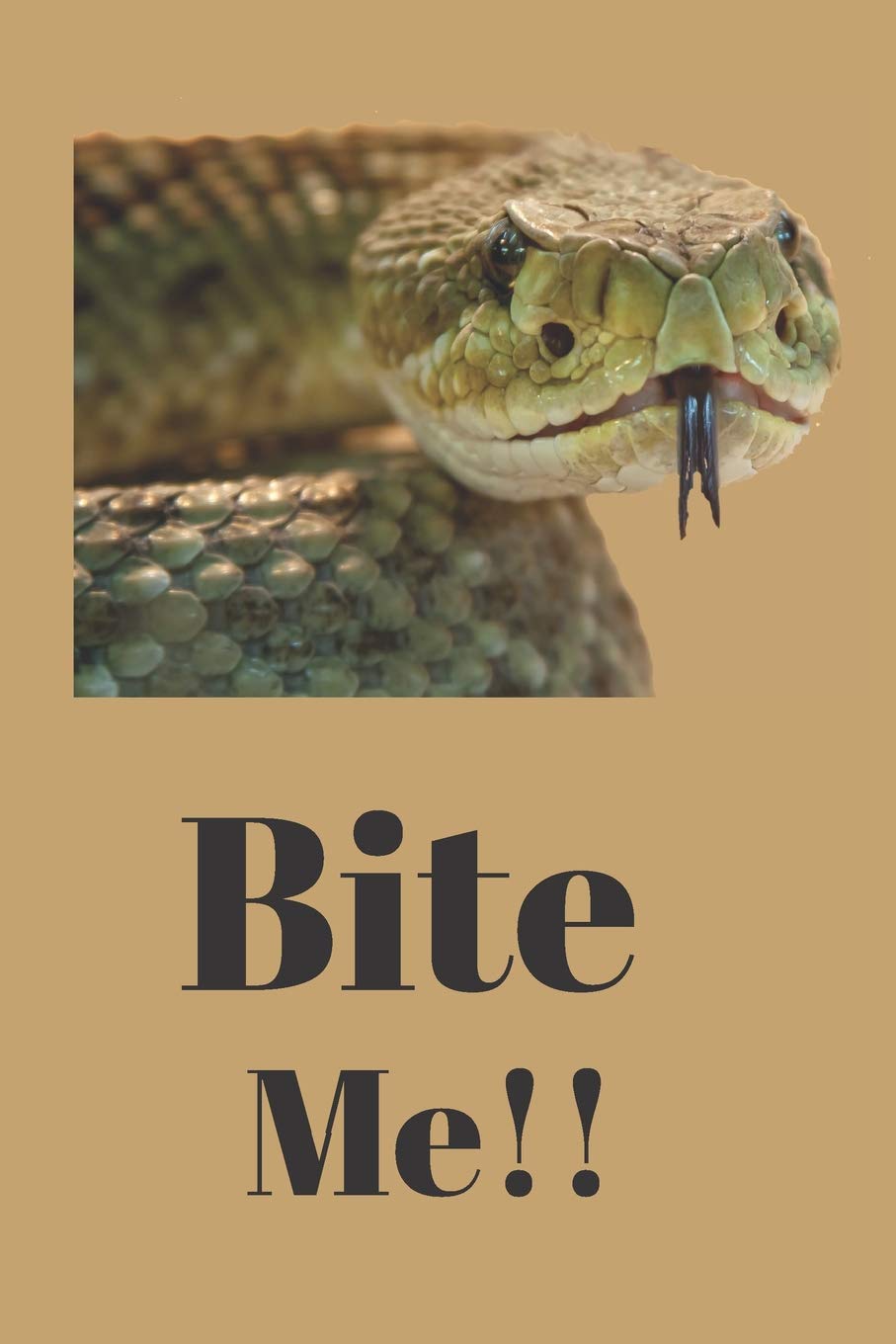 Rattlesnake Bite Me Blank Lined Journal Notebook: A daily diary, composition or log book, gift idea for people who like, fear, hate, respect rattlesnakes!! Mathematics