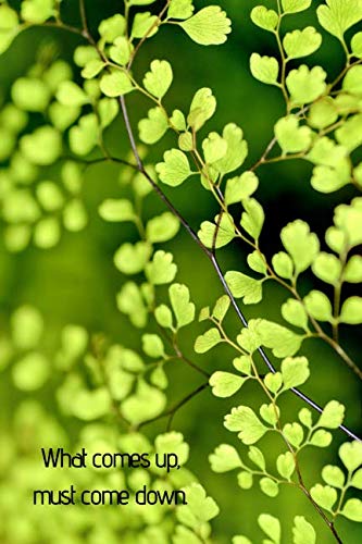 What comes up, must come down.: Composition notebook: natur cover (110 Pages, Line , 6 x 9) Mathematics