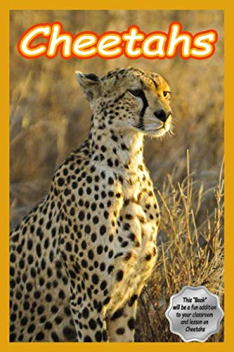 Cheetahs: All about cheetahs book (African animals, Band 1) Novels & Short Stories