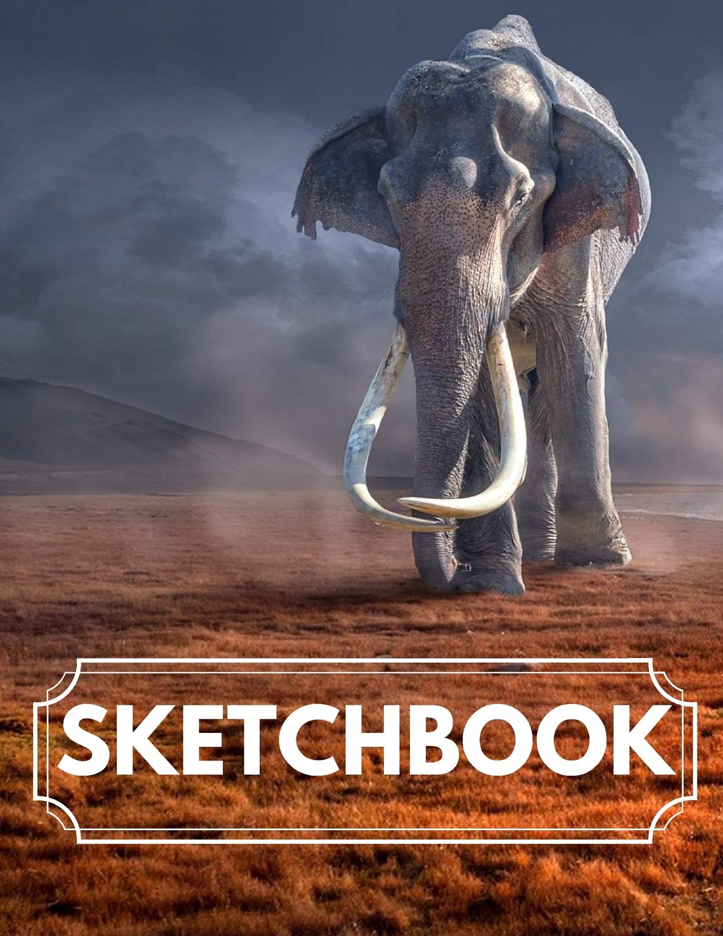 Blank Sketchbook: Breathtaking Blank Elephant Sketchbook for Graphics, Sketching and Whiting, Unique Interior, Red Dust with Grass Design 8.5x11 Novels & Short Stories