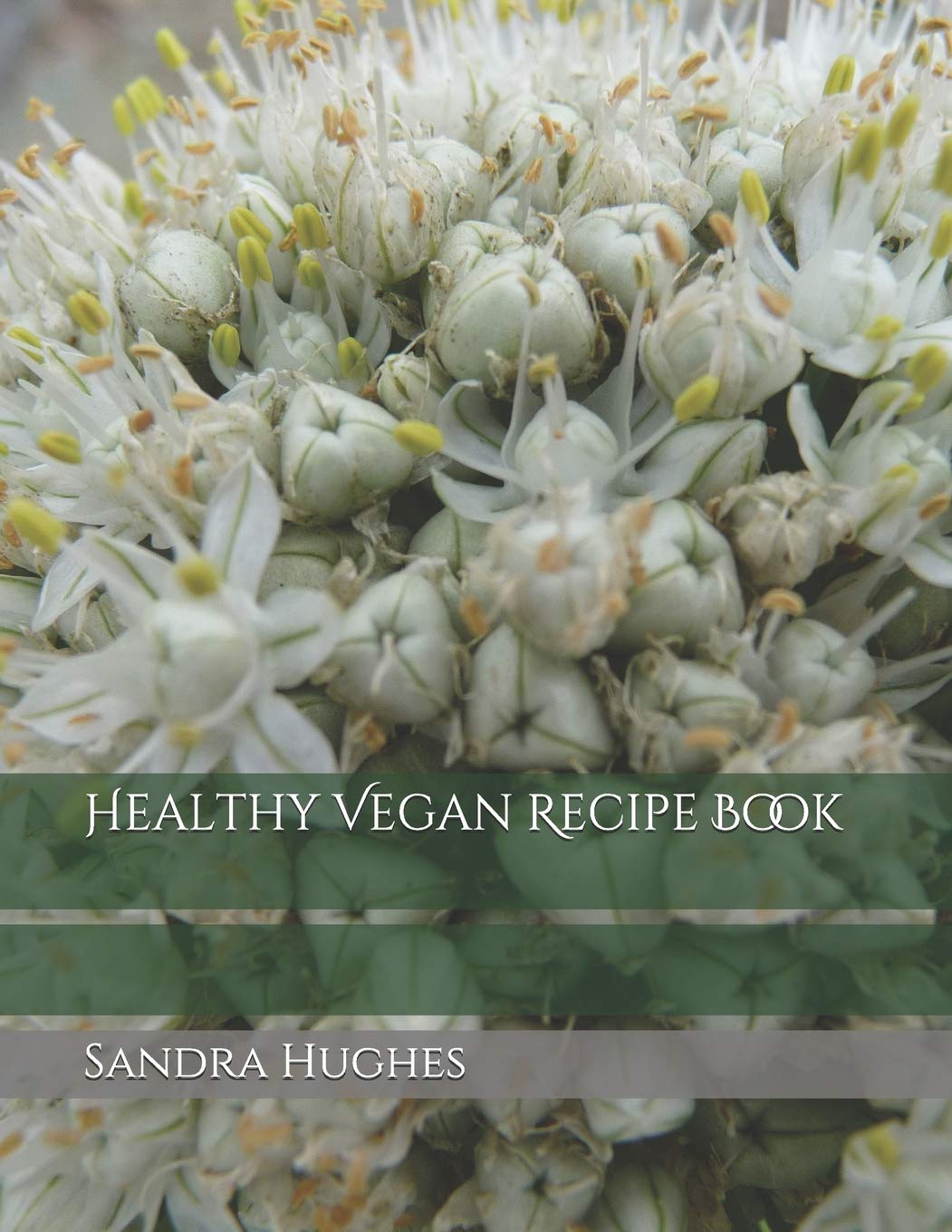 Healthy Vegan Recipe Book Leisure, Home & Garden