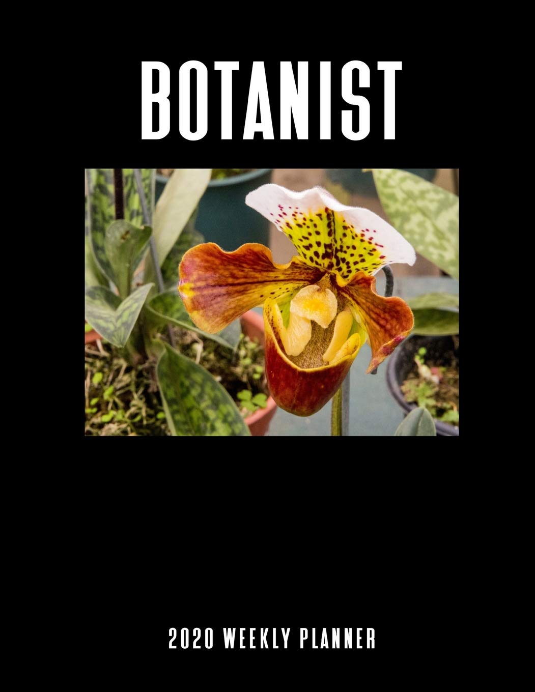 Botanist 2020 Weekly Planner: A 52-Week Calendar For Plant Scientists Garden & Plants