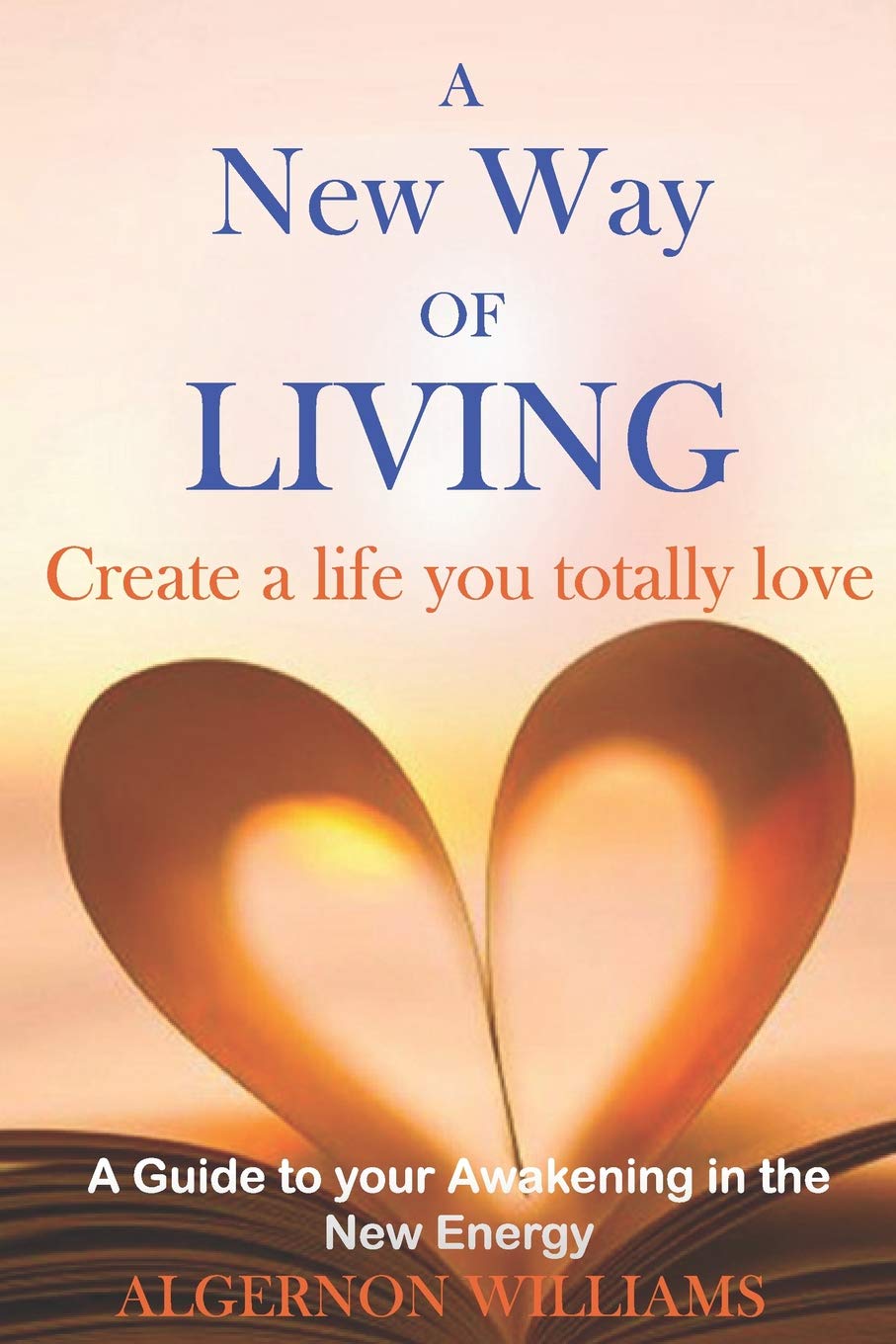 A New Way of Living: Create a life you totally love Lifestyle