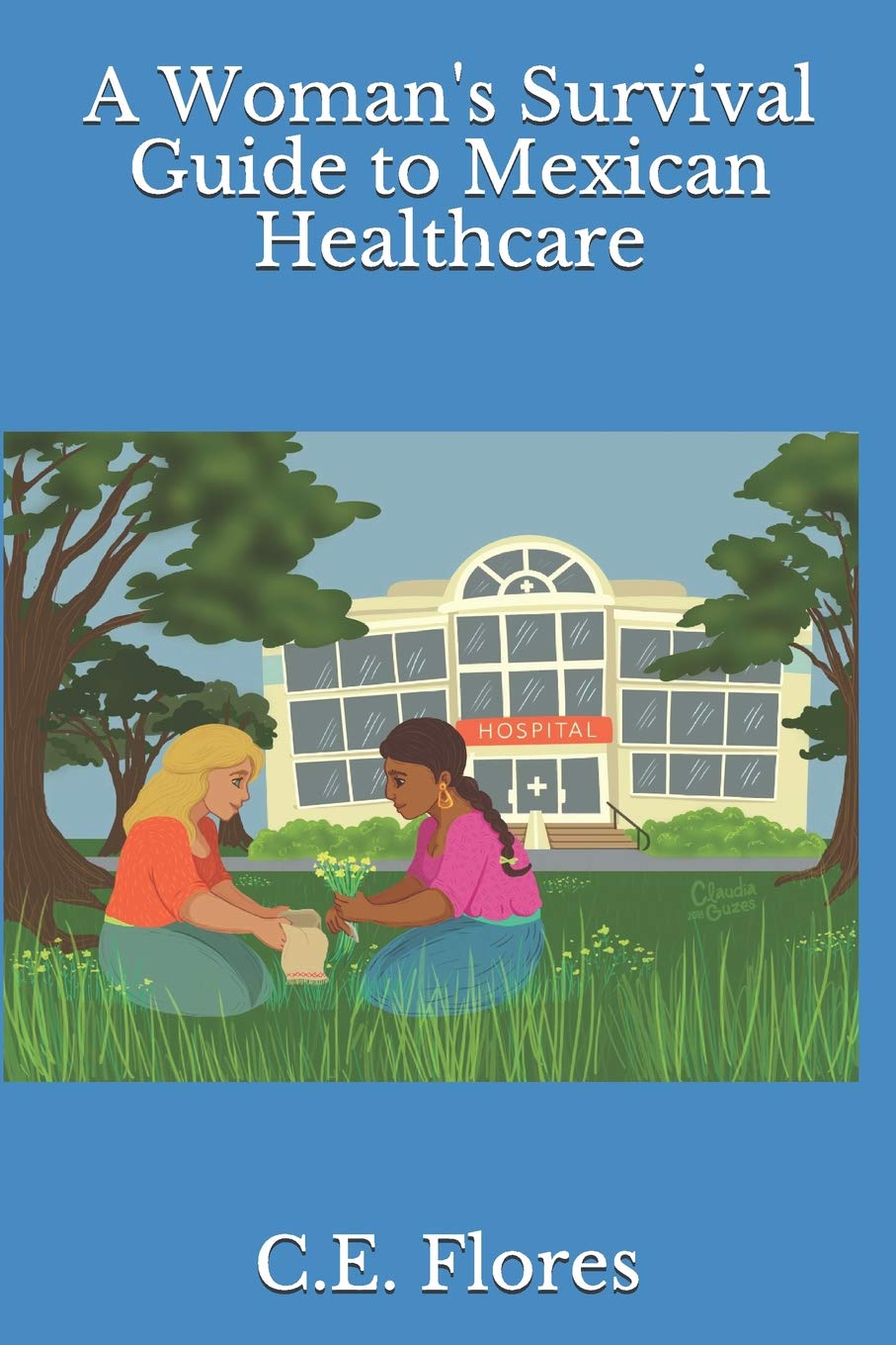 A Woman's Survival Guide to Mexican Healthcare (A Woman's Survival Guide to Living in Mexico) book