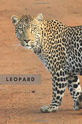 Leopard: Animal Notebook for Kids, Notebook for Coloring Drawing and Writing (110 Pages, Blank, 6 x 9) (Animal Notebook) book