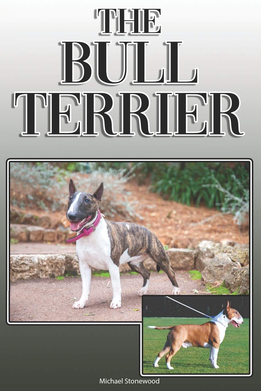 The Bull Terrier: A Complete and Comprehensive Owners Guide to: Buying, Owning, Health, Grooming, Training, Obedience, Understanding and Caring for Your Bull Terrier Pets