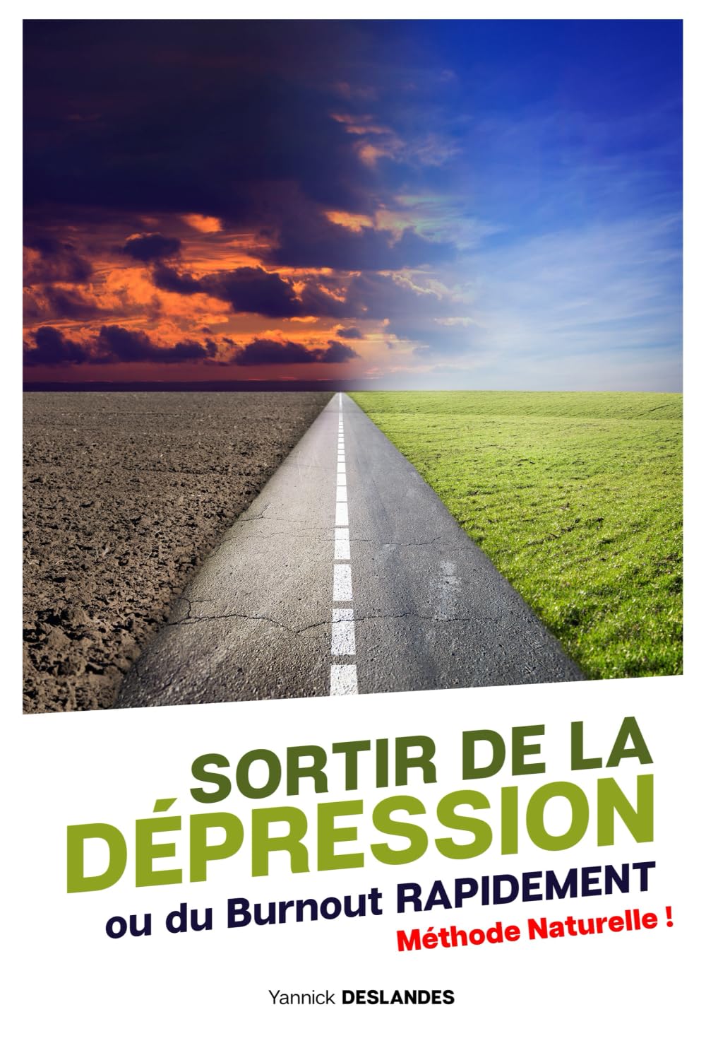 SORTIR DE LA DÉPRESSION EN 4 SEMAINES: ou comment retrouver le goût de la vie grâce à une méthode naturelle book