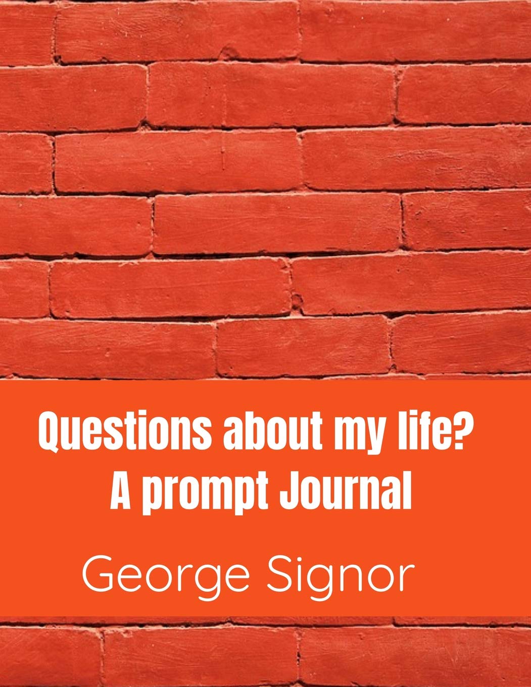 Questions about my life?: A prompt Journal Contemporary literature