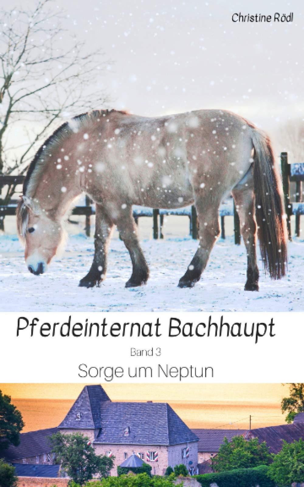 Sorge um Neptun (Pferdeinternat Bachhaupt, Band 3) Pets