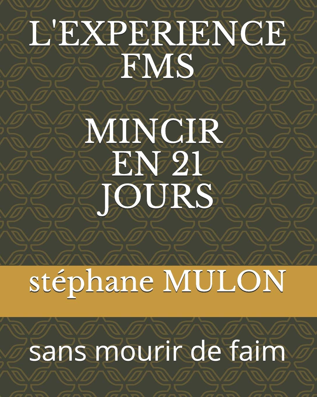 L'EXPERIENCE FMS MINCIR EN 21 JOURS: sans mourir de faim Health, Nutrition & Fitness