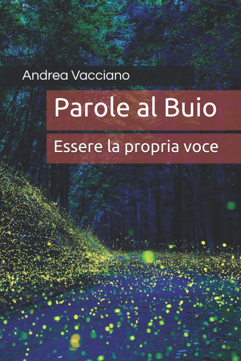 Parole al Buio: Essere la propria voce book