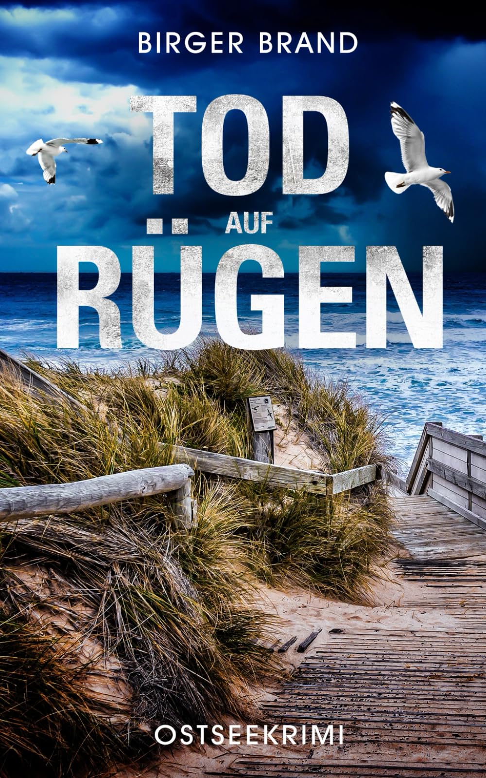 Tod auf Rügen: Ostseekrimi (Lydia Westphal, Band 2) Contemporary literature