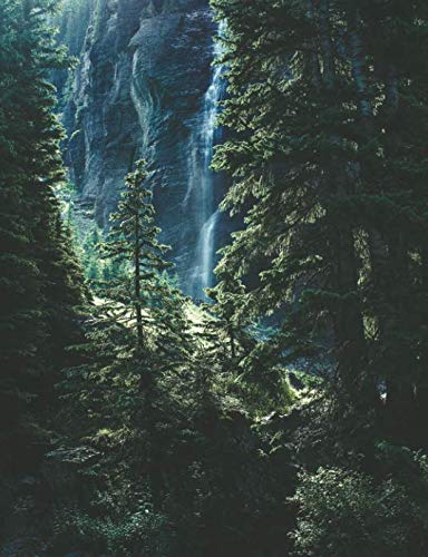 RPG Journal: RPG Journal 117 pages 1/5" Hexagonal Grid Paper and Lined Journal Foggy Forest Cover Leisure & Fun