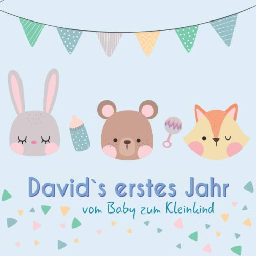 David`s erstes Jahr - vom Baby zum Kleinkind: Babyalbum für Jungen zum Ausfüllen für das erste Lebensjahr Parents & Children