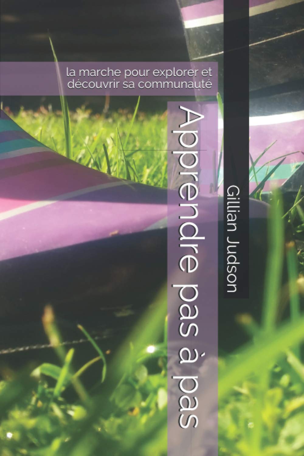 Apprendre pas à pas: la marche pour explorer et découvrir sa communauté book