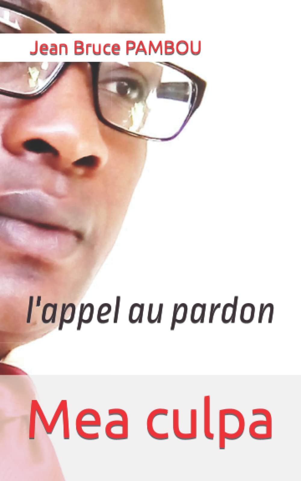 Mea culpa: l'appel au pardon book