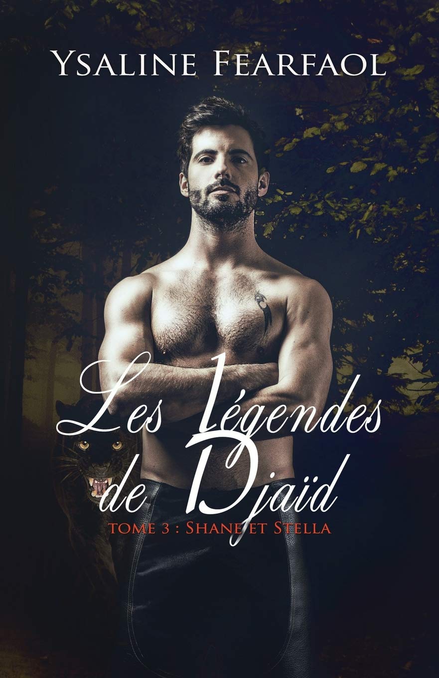 Les Légendes de Djaïd tome 3: Shane et Stella book