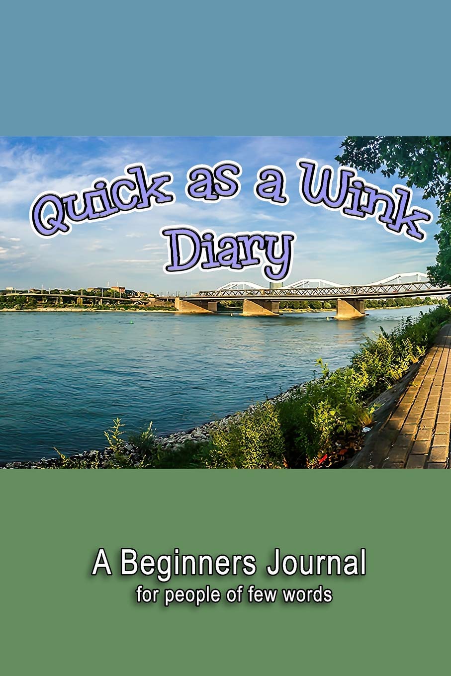 Quick as a Wink diary: A Beginners Journal for people of few words Education & Training