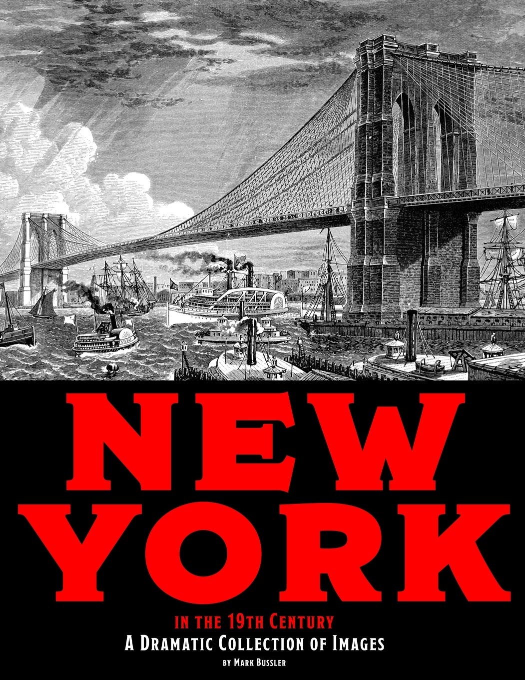 New York in the 19th Century: A Dramatic Collection of Images Politics & History