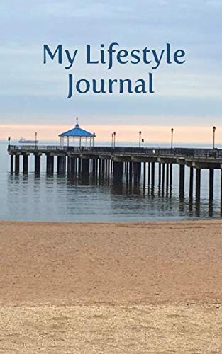 My Lifestyle Journal: Portable 100 page notebook for logging your daily activity; Glossy softcover perfect bound. book