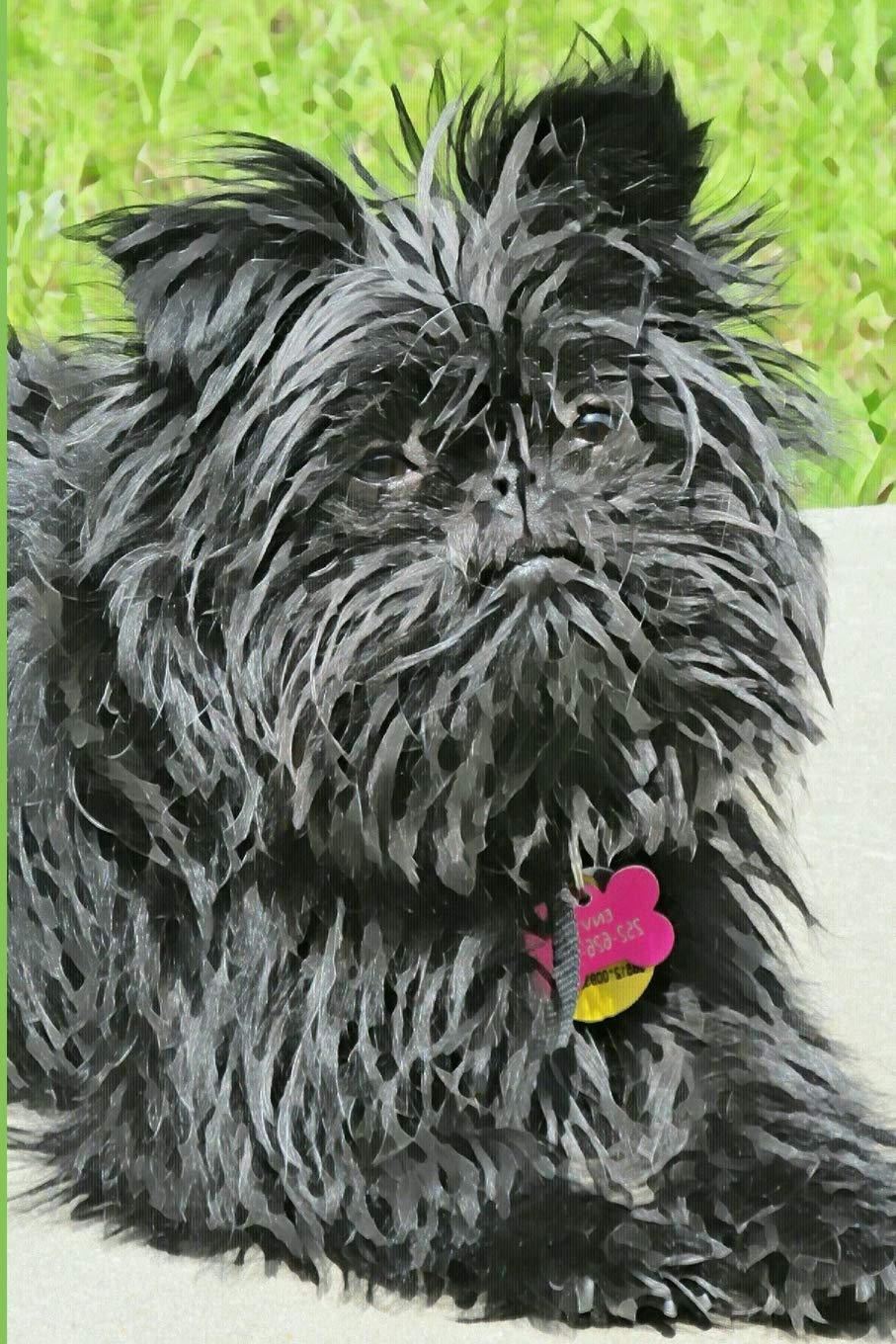 Affenpinscher Dog Lovers Blank Lined Journal Notebook: A daily diary, composition or log book, gift idea for people who love Affenpinscher dogs and puppies!! book