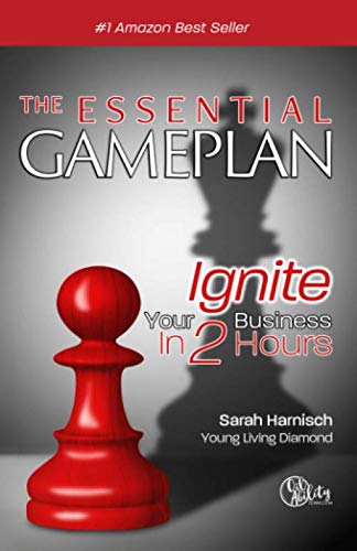 The Essential Gameplan: Ignite Your Business in 2 Hours Business, Finance & Career