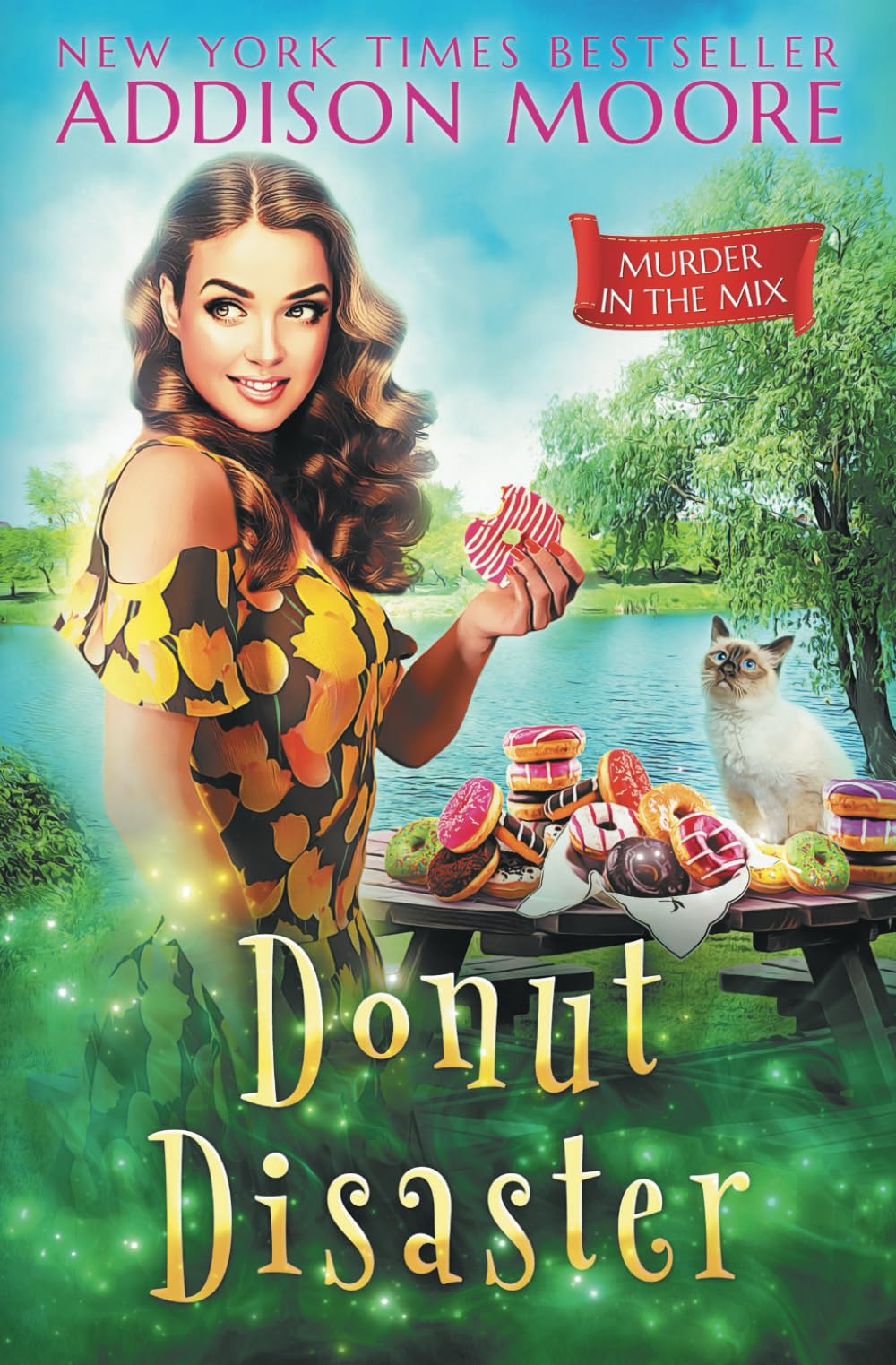 Donut Disaster (MURDER IN THE MIX, Band 12) Contemporary literature