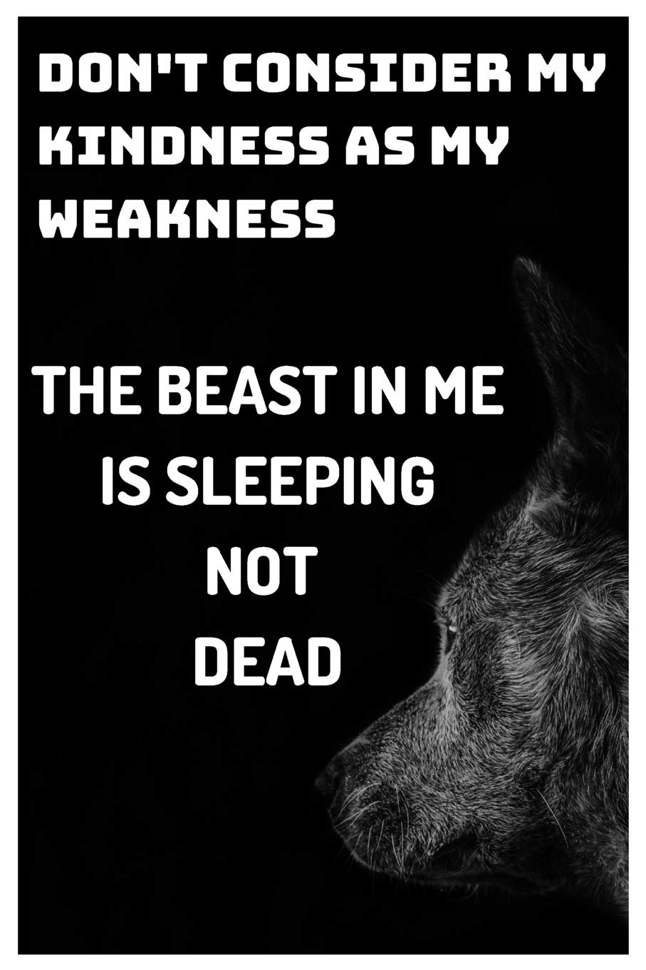 Don't Consider My Kindness As My Weakness The Beast In Me Is Sleeping Not Dead: Motivational Wolf Journal/Notebook to Creative Writing for School/Work (Black&White Cover Design) Mathematics