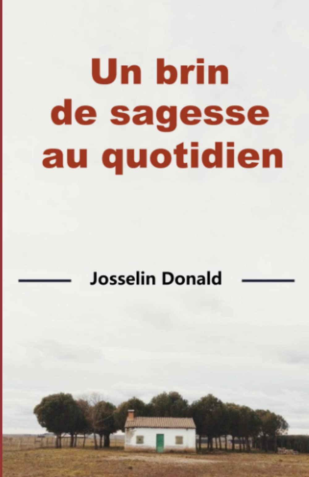 Un brin de sagesse au quotidien book