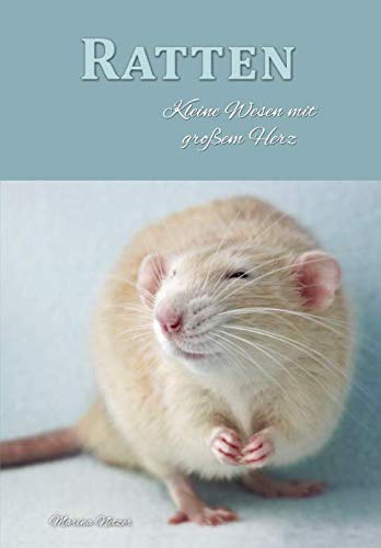 Ratten: Kleine Wesen mit großem Herz Pets