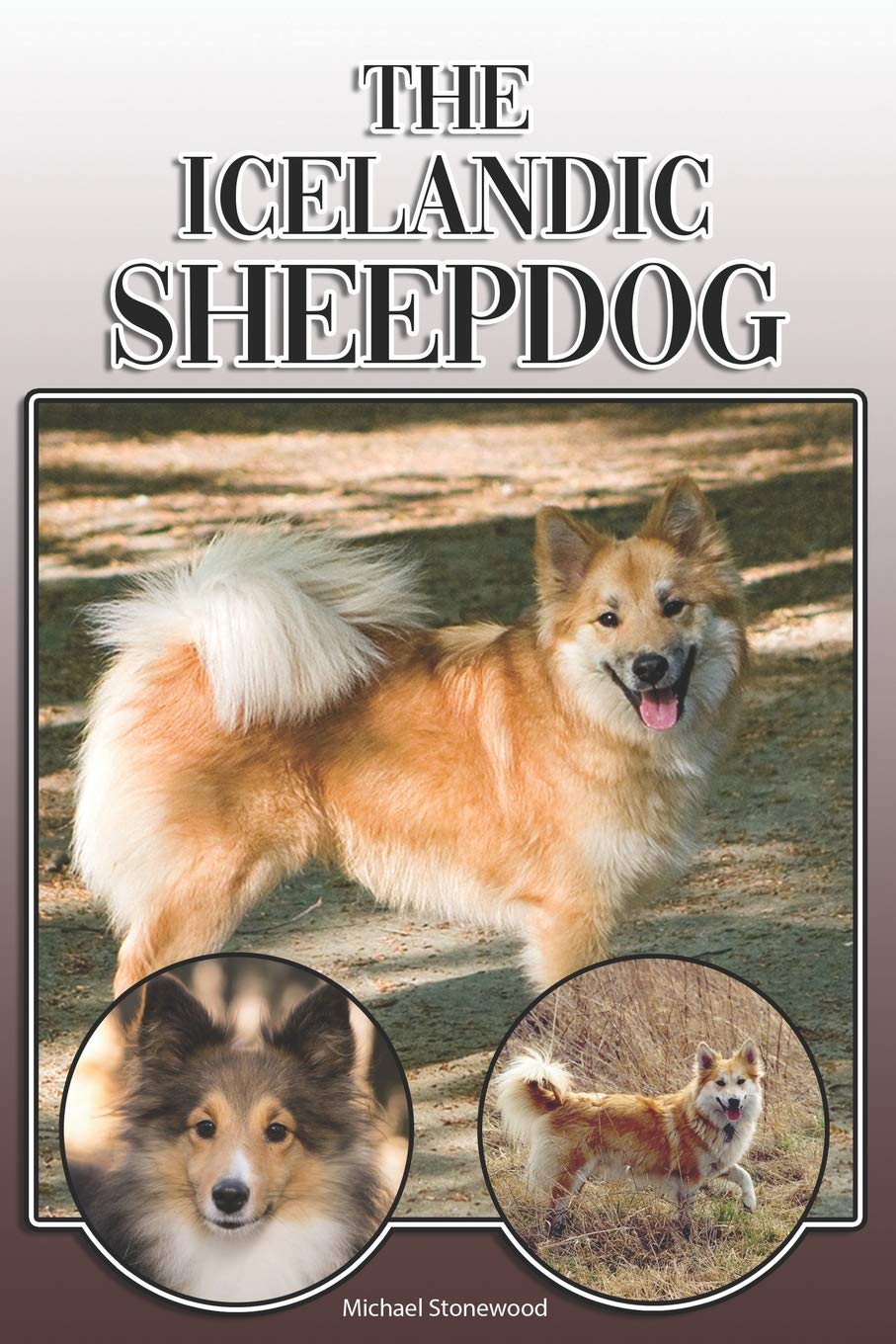 The Icelandic Sheepdog: A Complete and Comprehensive Owners Guide to: Buying, Owning, Health, Grooming, Training, Obedience, Understanding and Caring for Your Icelandic Sheepdog Pets