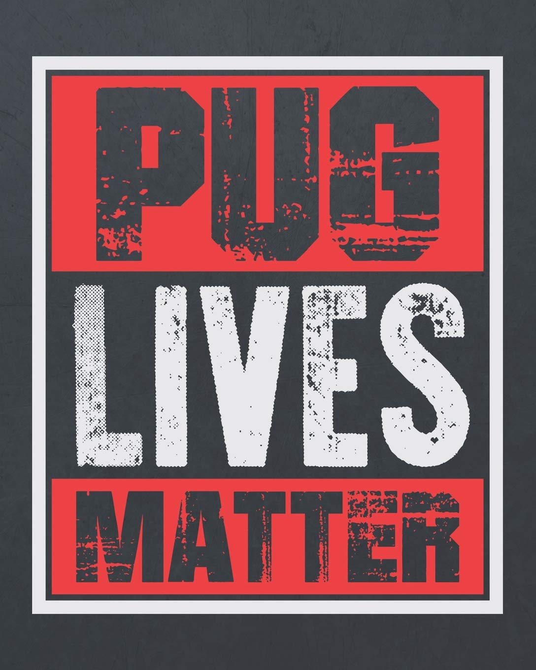 Pug Lives Matter: ~ Pet Grooming & Vet Appointment Notebook With Health Trackers Journal Medicine