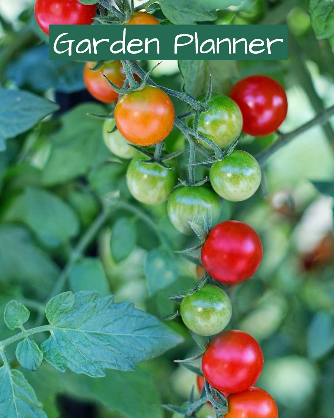Garden Planner | Logbook To Plan for Growing Vegetables & Fruits | Harvest Calendar; Projects & Techniques Log, Budget & Planting Plan | Gardener's ... Seed Succession For Planning Each Season Garden & Plants