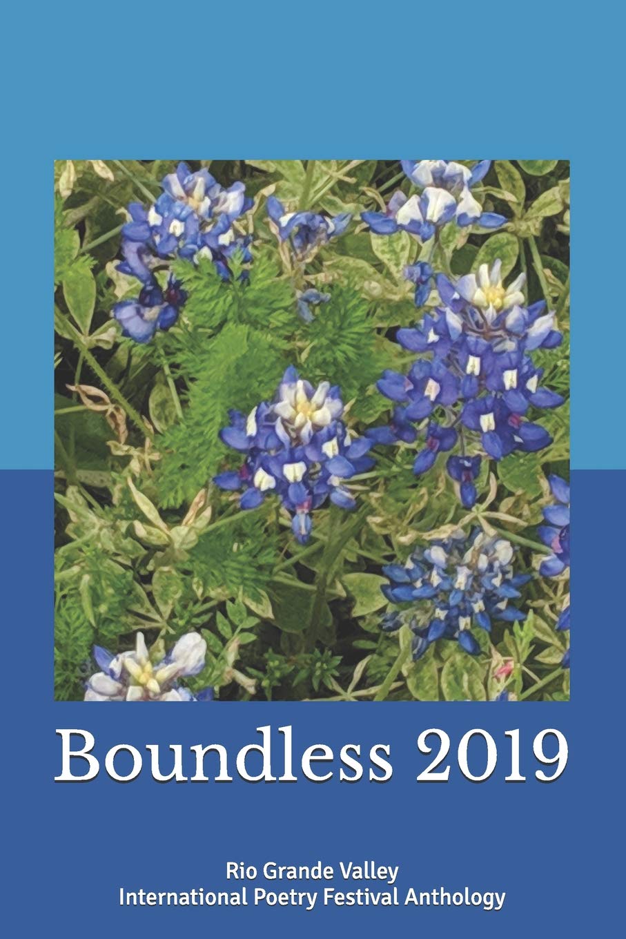 Boundless 2019: Rio Grande Valley International Poetry Festival Anthology Poetry