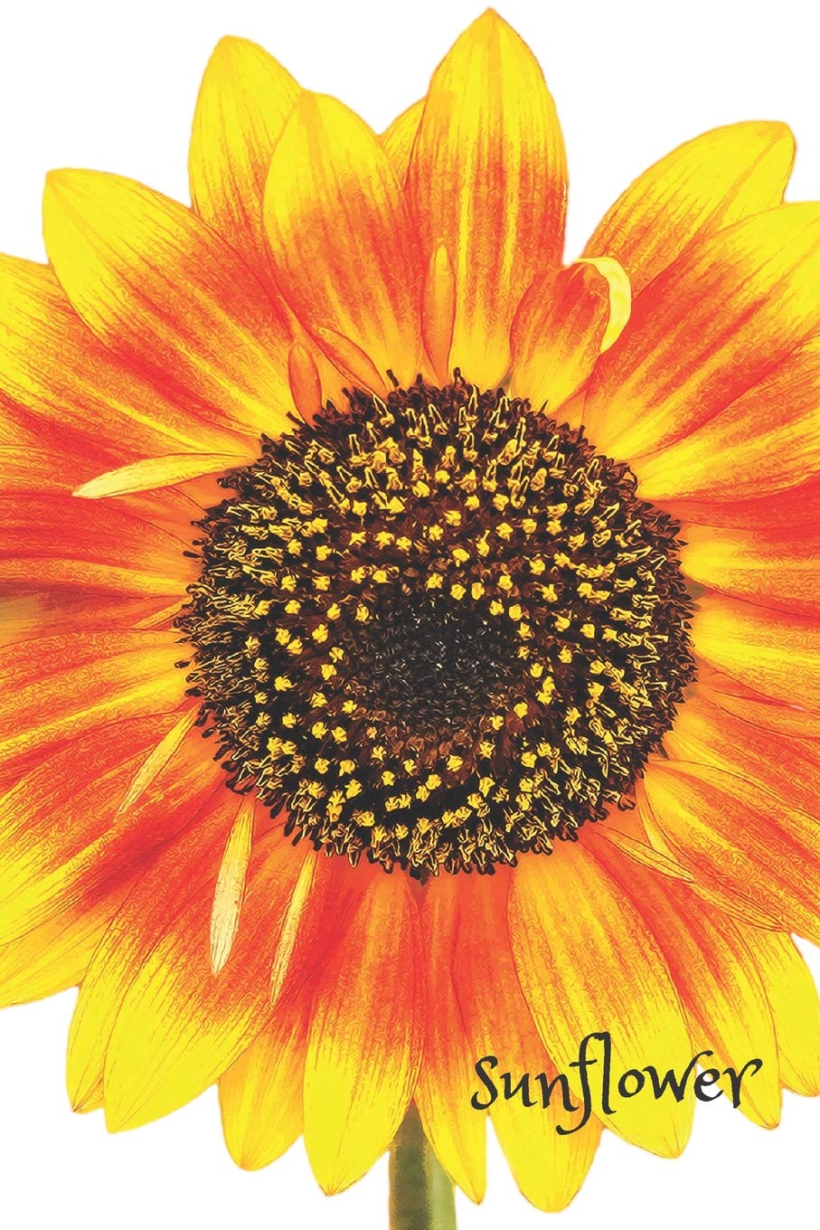 Sunflower: Flower Notebook/ Journal/ Diary (110 Pages, Blank, 6 x 9) book